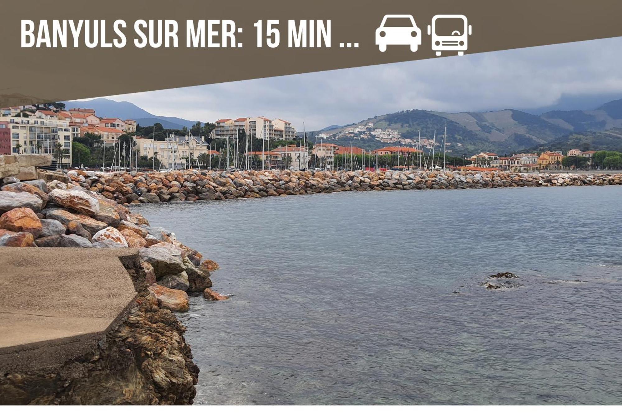 Le Belveze, Emplacement Central Et Calme Port Vendres Esterno foto