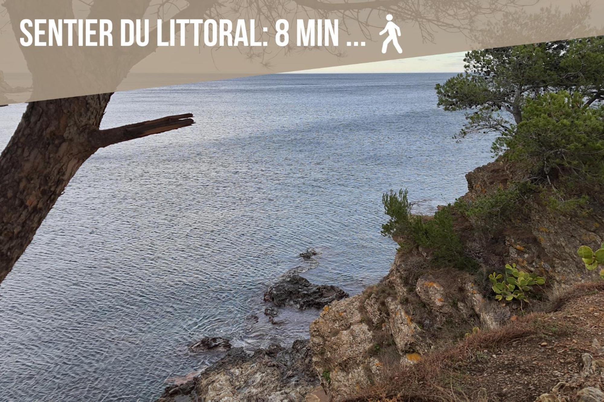 Le Belveze, Emplacement Central Et Calme Port Vendres Esterno foto